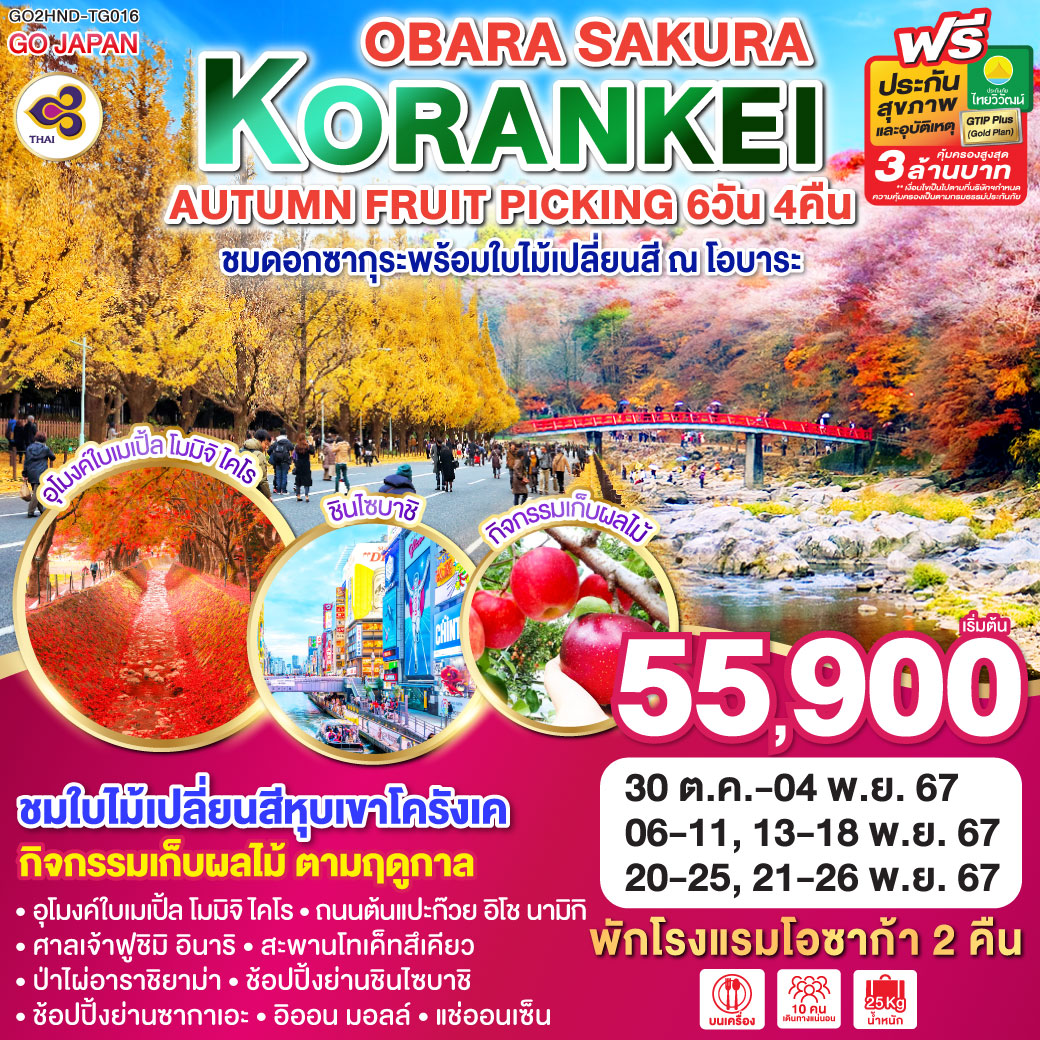 ทัวร์ญี่ปุ่น KORANKEI OBARA SAKURA & AUTUMN FRUIT PICKING 6วัน 4คืน (TG)