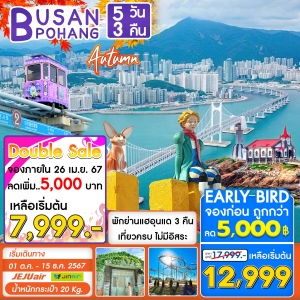 ทัวร์เกาหลี Busan Pohang Special 5วัน 3คืน (7C)