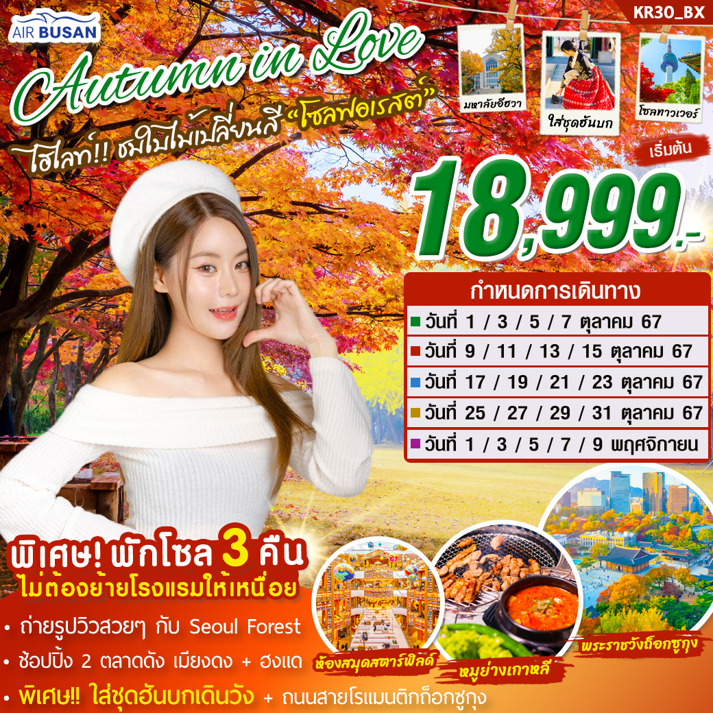 ทัวร์เกาหลี AUTUMN IN LOVE 5วัน 3คืน (BX)